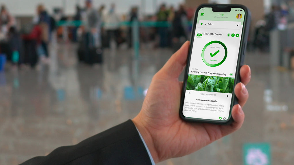 A phone is shown with the Felix Smart home screen on it. The user checking in on their hydroponic system is evidently away from home, likely in an airport.