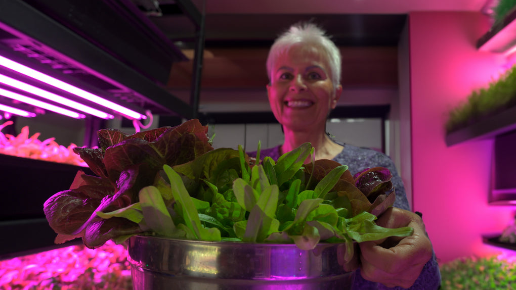 A smiling woman is shown, holding a bowl of freshly harvested greens from the hydroponic racks around her.