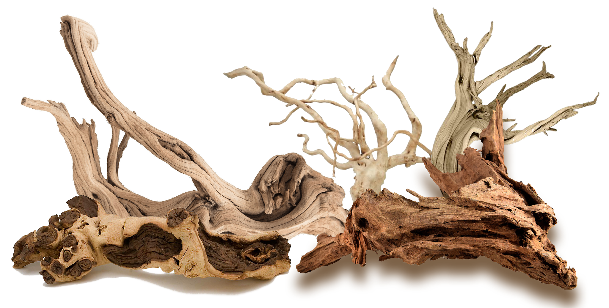 Driftwood in Aquariums - What You Should Know