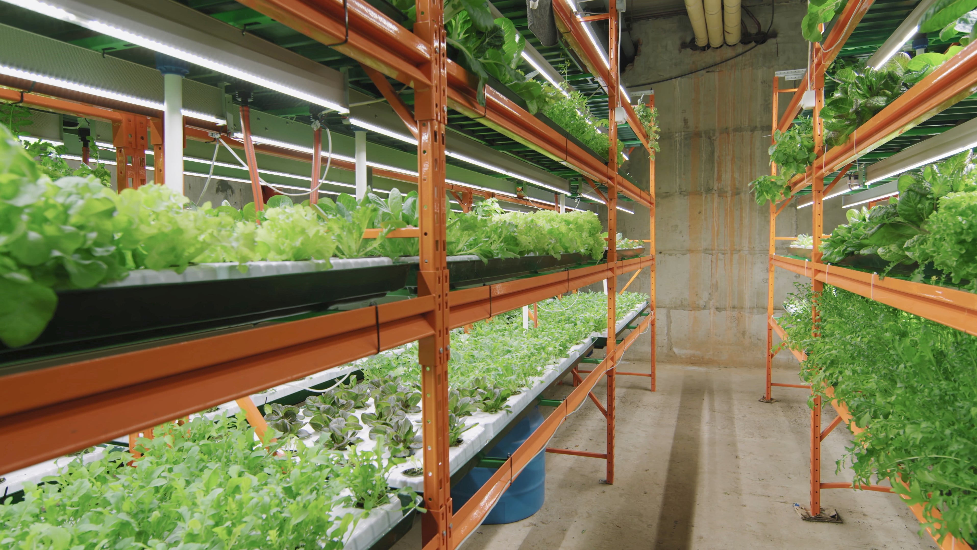 Demystifying TDS, EC, and PPM for Hydroponic Growth Felix Smart