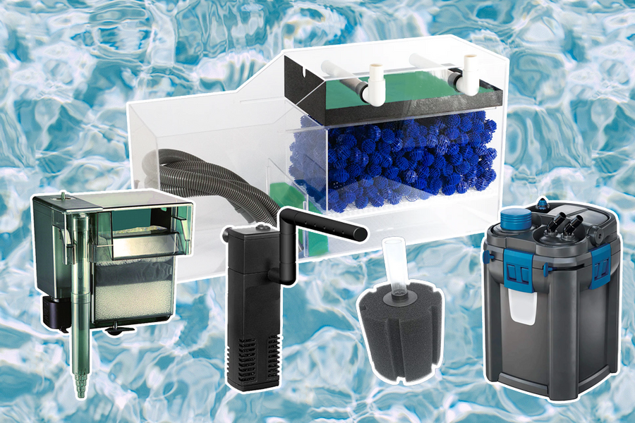 Choosing the Perfect Filter for your Aquarium: A Comprehensive Guide ... - Aquarium Filter Design For Sensitive Equipment