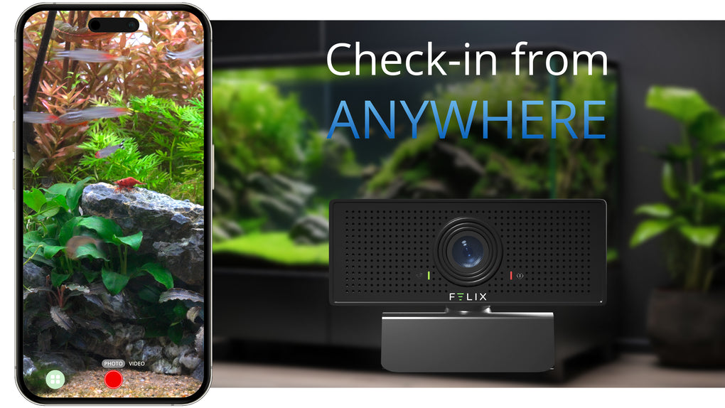 The Felix Smart 1080p HD Camera is shown and a livestream of freshwater aquarium through the Felix Smart application is visible next to it. Text on screen says "Check-in from ANYWHERE"