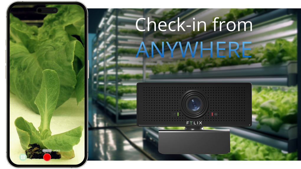 The Felix Smart 1080p HD Camera is shown and a livestream of a lettuce plant through the Felix Smart application is visible next to it. Text on screen says "Check-in from ANYWHERE"