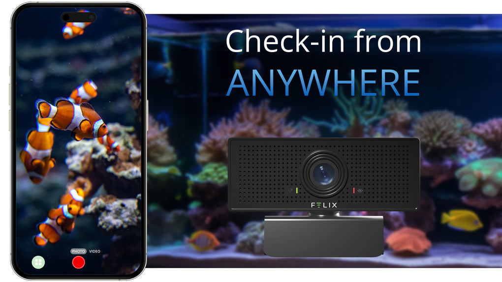The Felix Smart 1080p HD Camera is shown and a livestream of clownfish through the Felix Smart application is visible next to it. Text on screen says "Check-in from ANYWHERE"