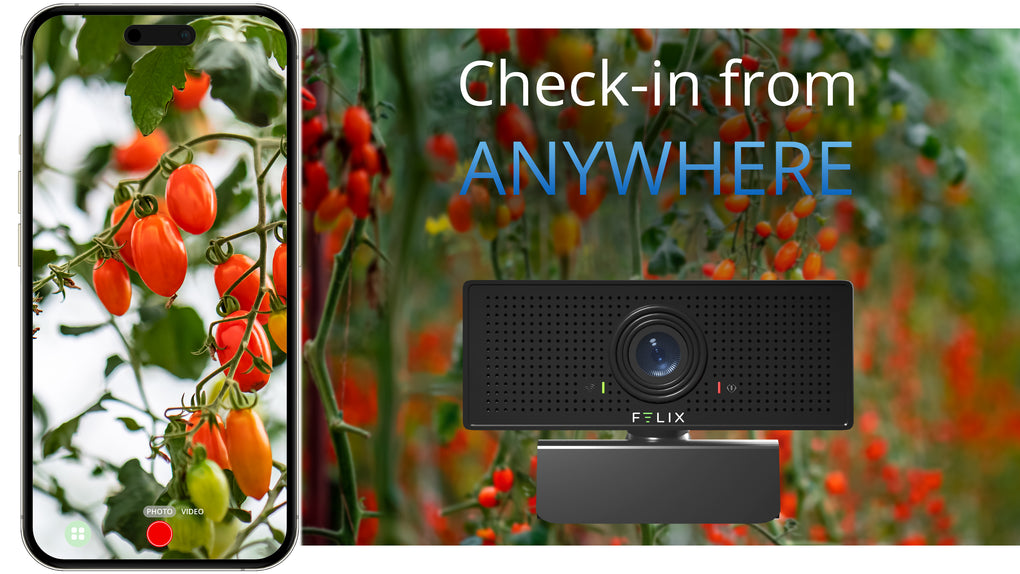 The Felix Smart 1080p HD Camera is shown and a livestream of tomatoes through the Felix Smart application is visible next to it. Text on screen says "Check-in from ANYWHERE"