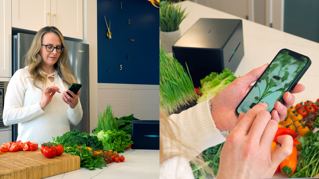 A woman is seen checking in on her lettuce plant using the Felix Smart camera functionality. She is in a kitchen surrounded by fresh greens and other vegetables, such as tomatoes, on a cutting board. KAI the controller can be seen in the distance.