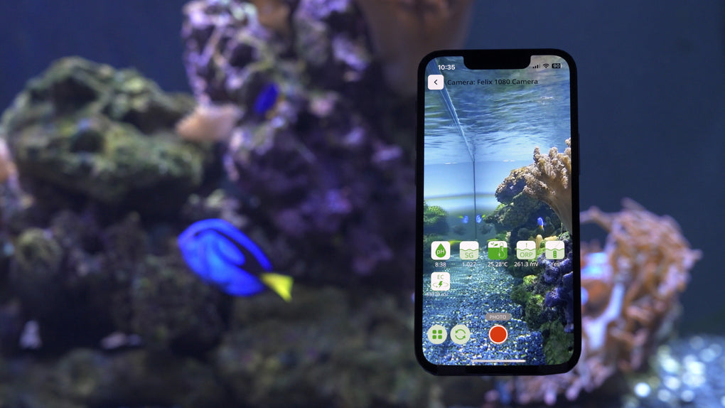 The Felix Smart camera functionality within is shown through a phone screen. There is a saltwater aquarium in the background. On the screen, you can see a live camera view of the aquarium, and its major parameters. 