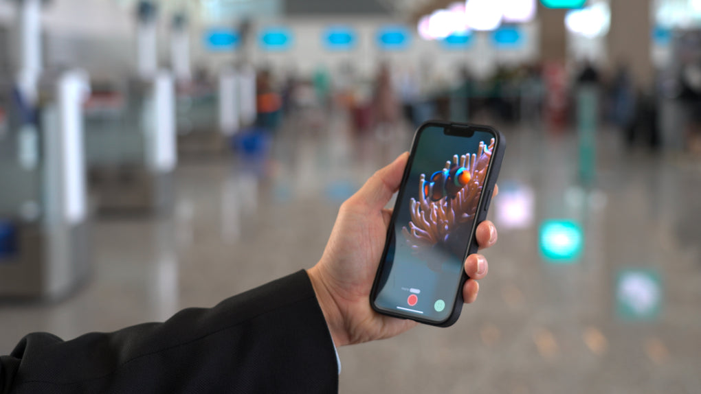 A phone is being held in an airport setting, showing a clownfish and anemone live camera view through the Felix Smart application.